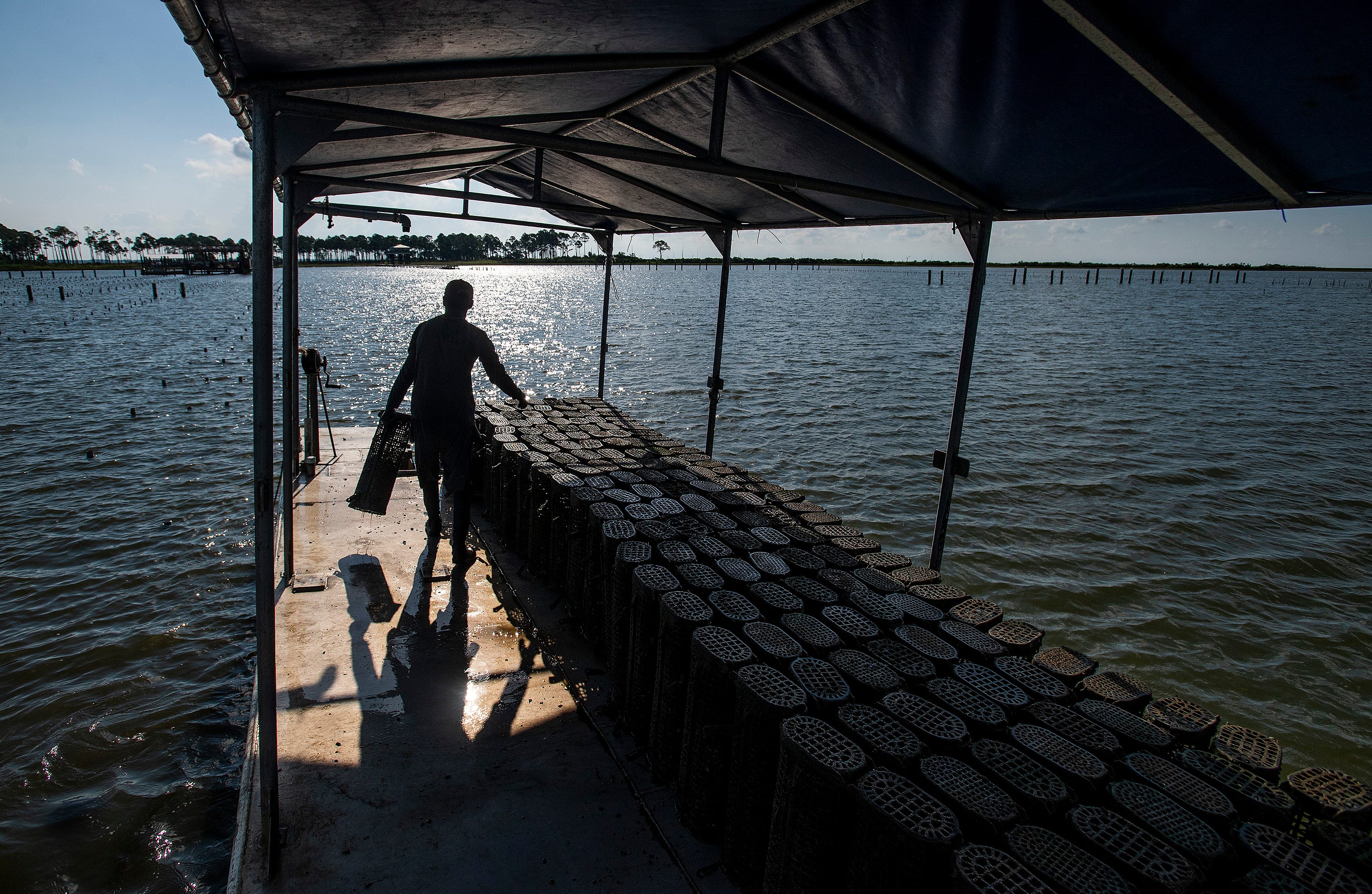 Remigio Posada stacks oyster baskets on a boat at Murder Point Oysters on Sandy Bay near Bayou La Batre, Ala., on Tuesday September 10, 2019.