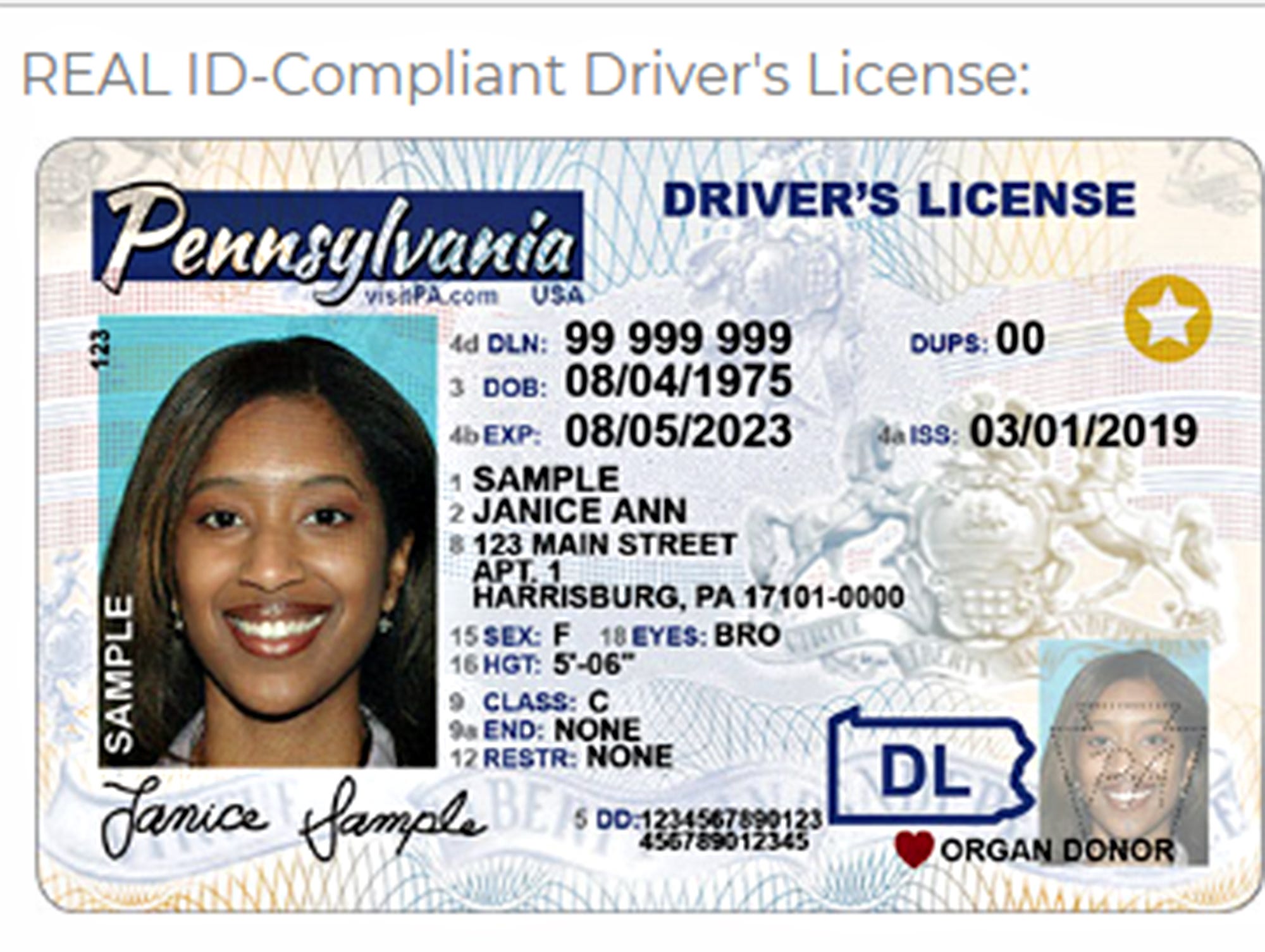Front And Back Id Card
