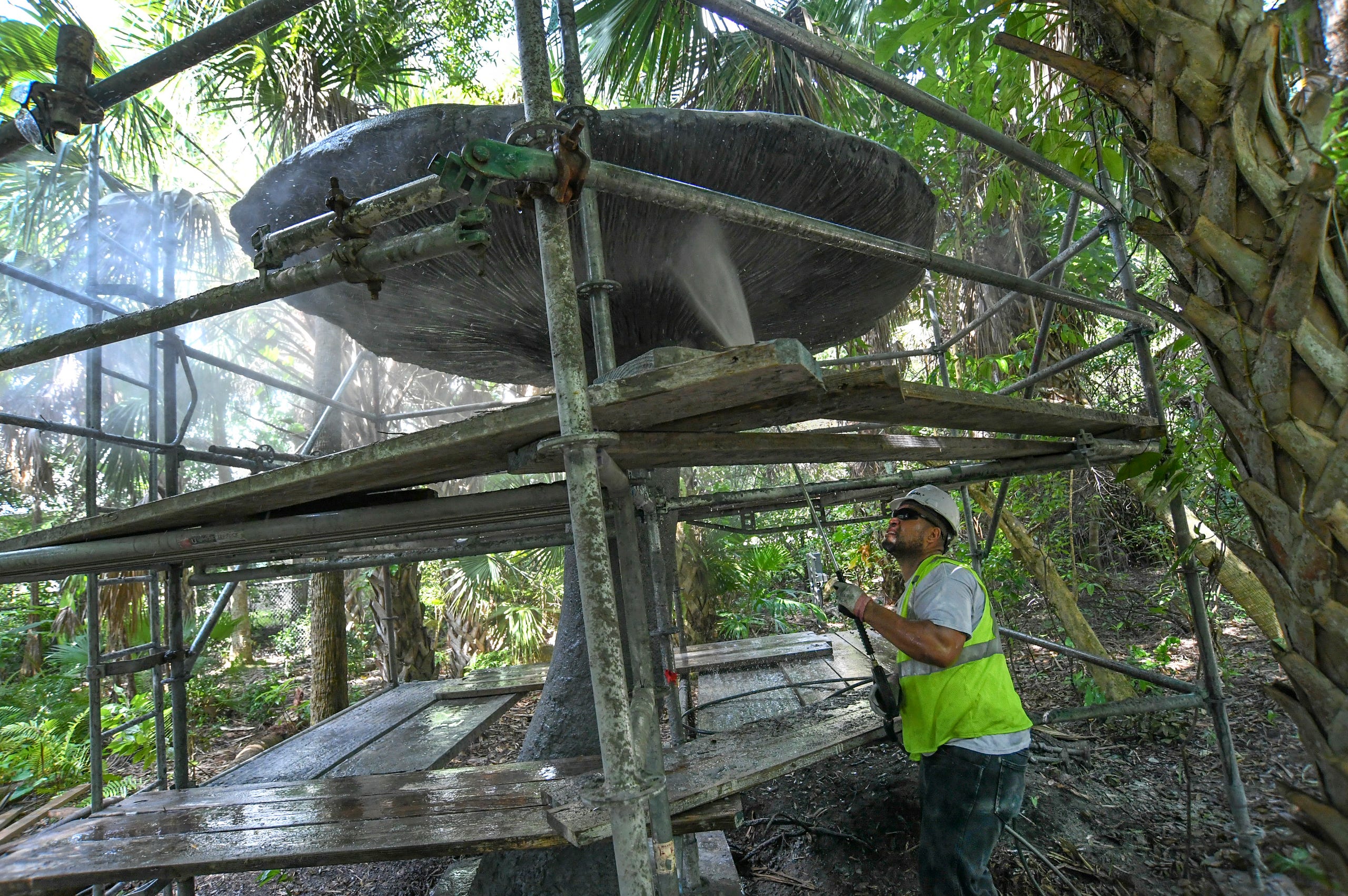 Iconic Mushroom From Mckee Jungle Gardens Is Being Re Created