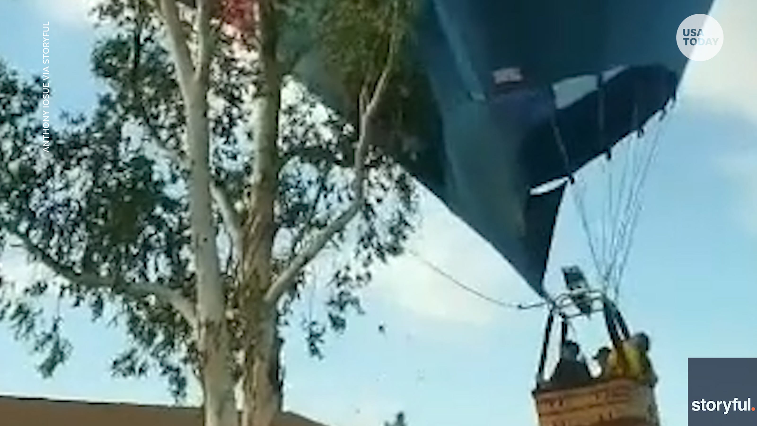 Hot air balloon crashes into a tree after rapidly losing altitude