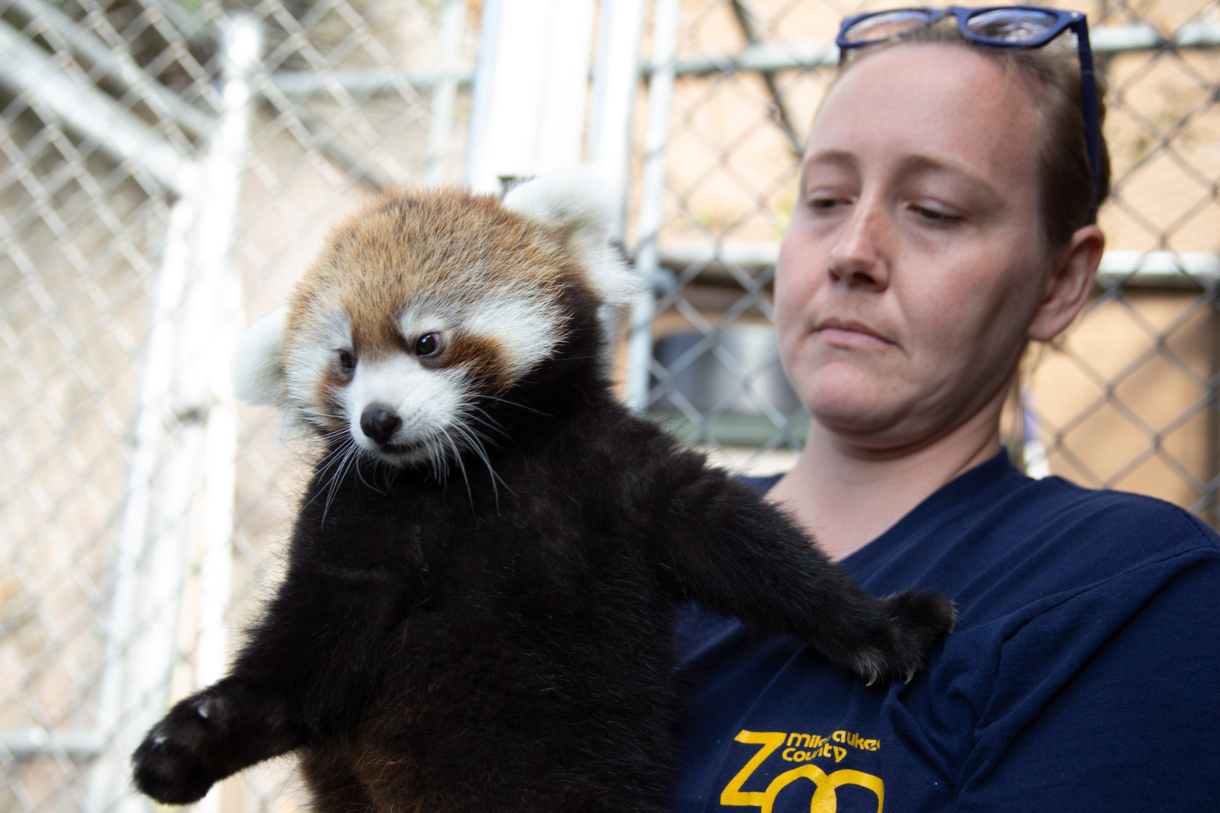 Animals at Milwaukee zoo get vaccinated, just like their zookeepers