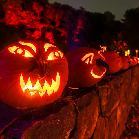 This is a view of the The Great Jack O'Lantern Bla