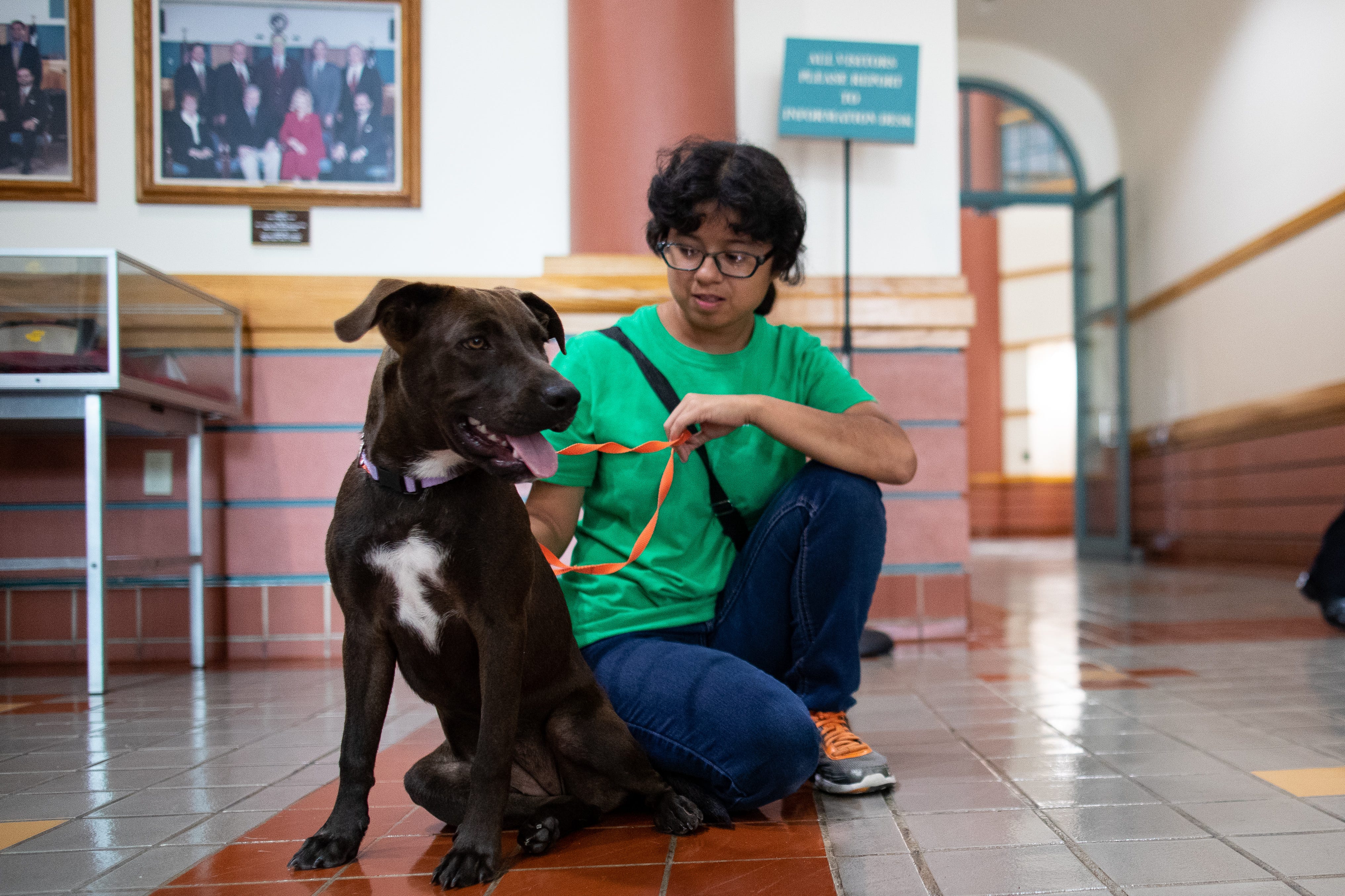 Corpus Christi Animal Care Services to offer $10 adoptions in October