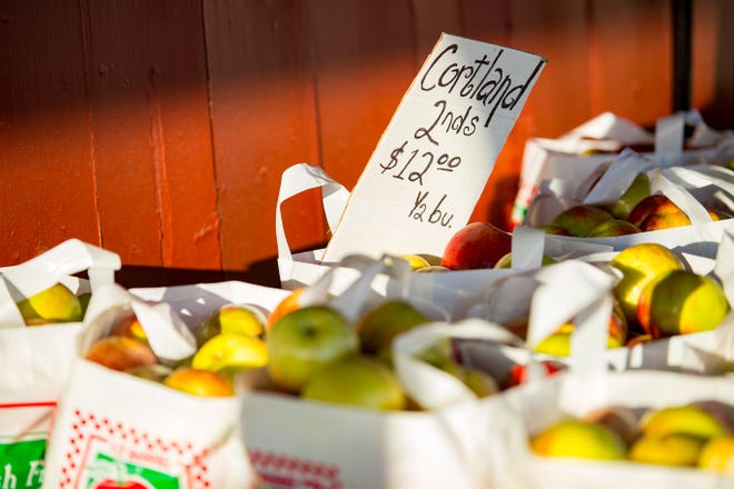 Apples are for sale at Fleming Orchard in Gays Mills.