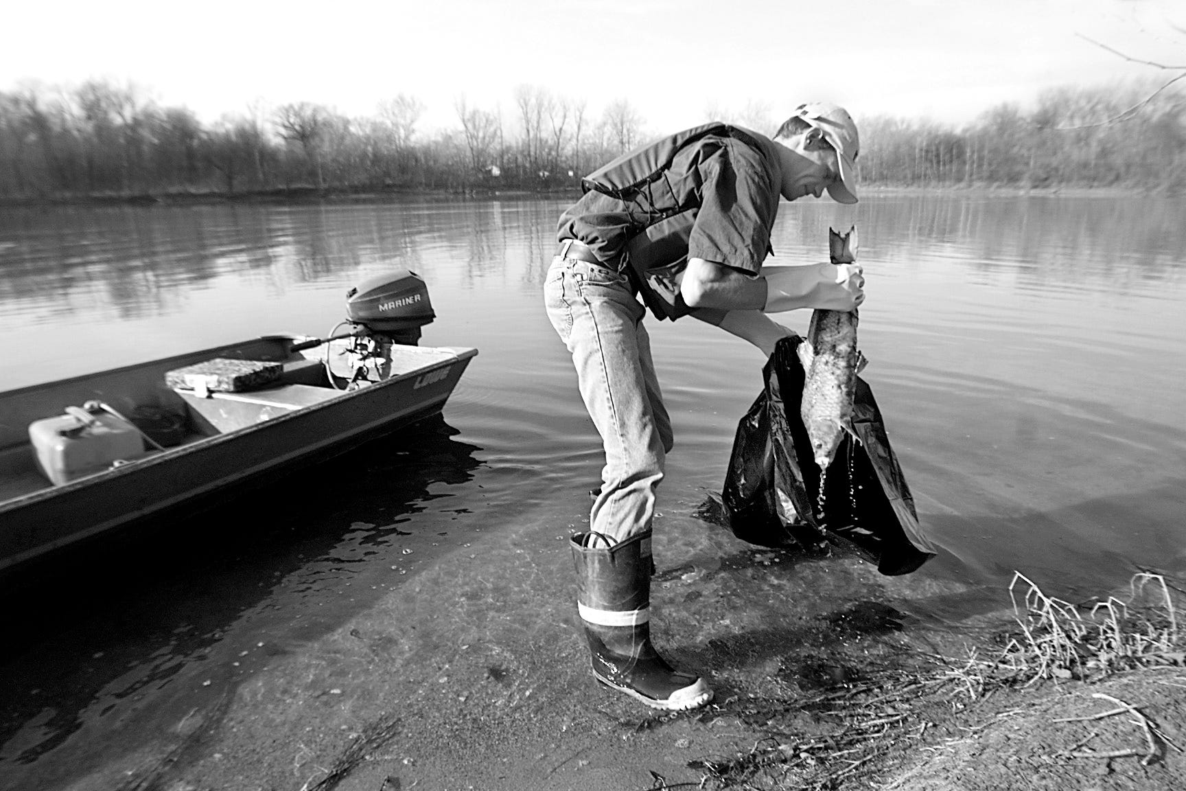 Indiana Department of Environmental Management scientist David Cage collects a dead carp from the banks of the White River near 75th Street on the north side of Indianapolis on March 8, 2000. Department crews picked up dead fish along the stretch of river from Anderson south to Waverly after  the first indications of a massive chemical contamination of the waterway in December 1999.