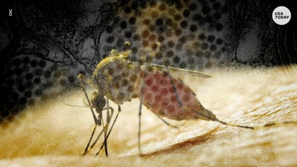 Michigan experiences major outbreak of mosquito-bo