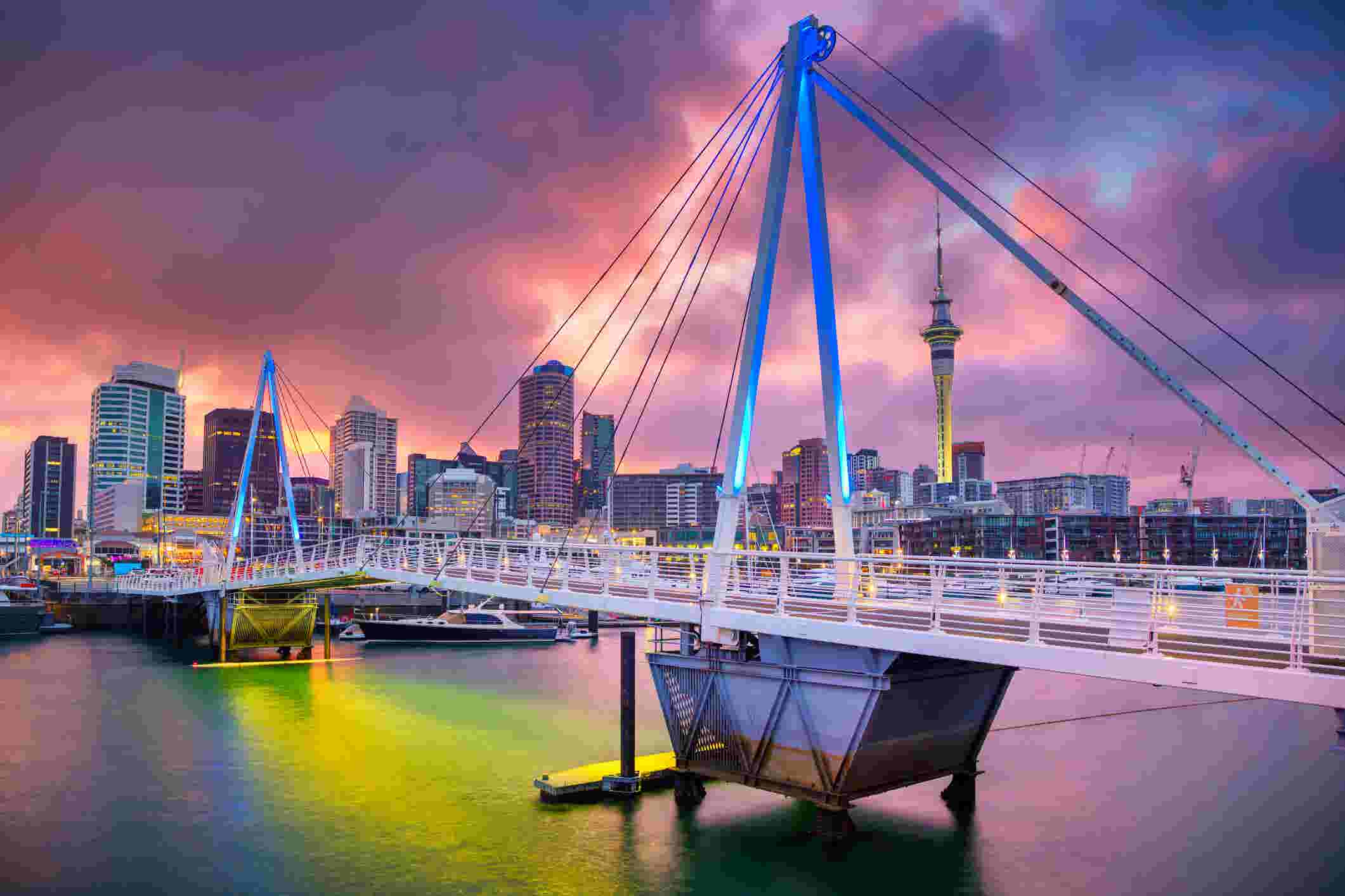 new zealand things to do in auckland