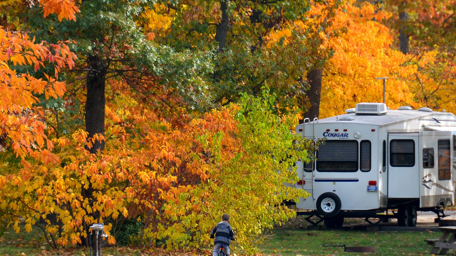 Indiana fall leaves When, where colorful foliage will peak statewide