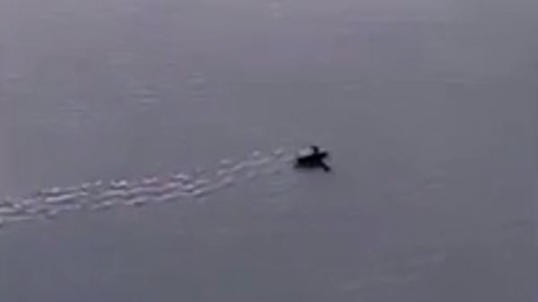 One of the last baby sea turtles from nest makes i