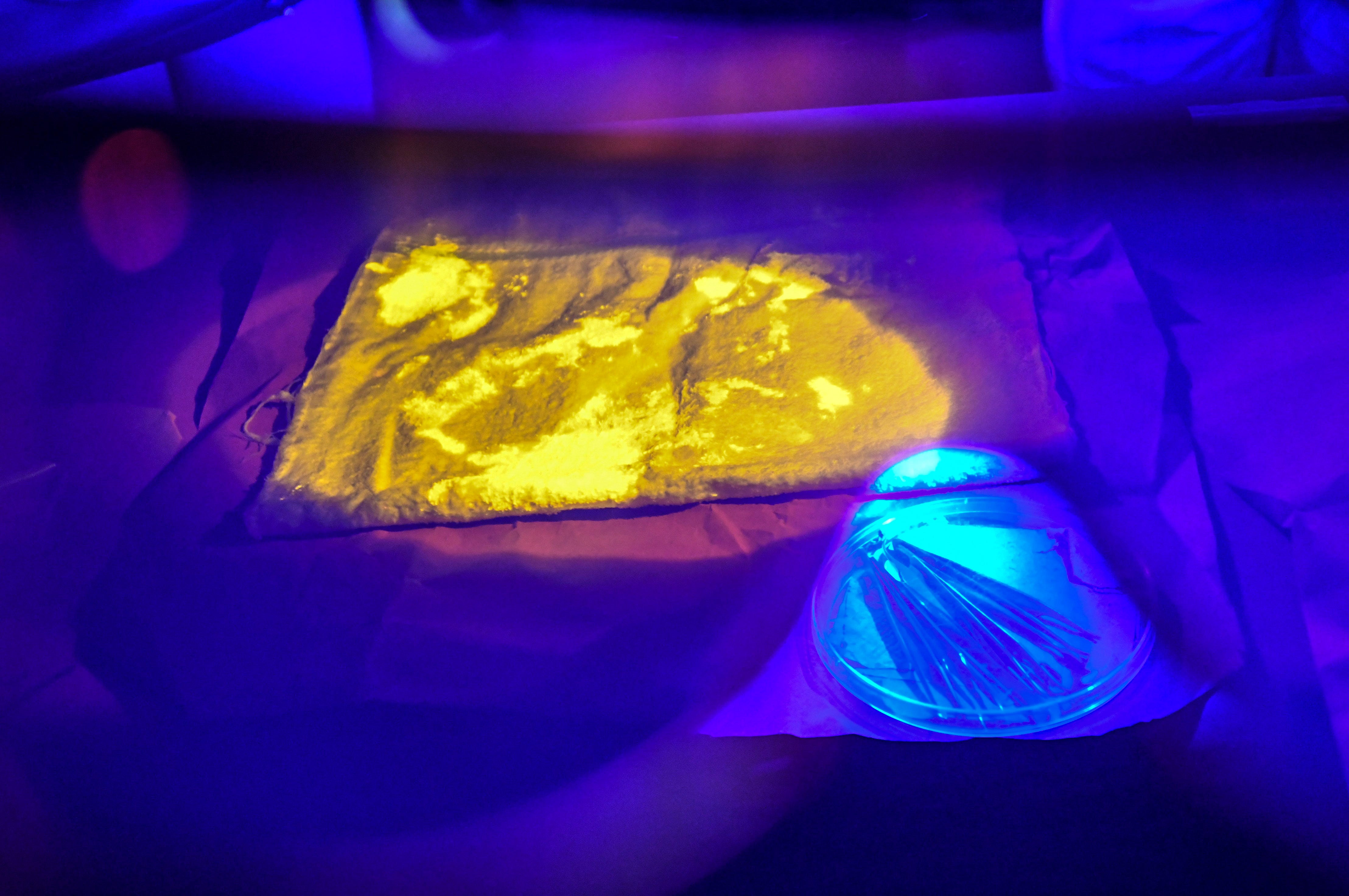 Construction on new DNA lab for Guam to break ground