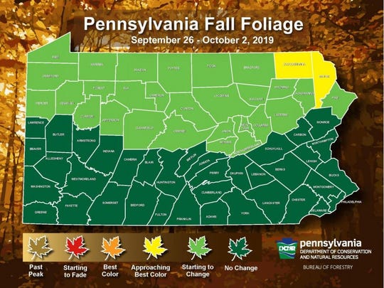 Pennsylvania fall foliage: Where are the leaves changing this weekend?