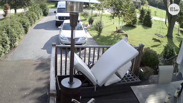 5-year-old narrowly avoids coyote attack in her Il