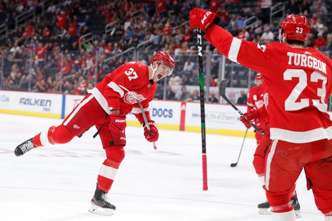 Image: https://www.gannett-cdn.com/presto/2019/09/28/PDTF/2072ec7a-8681-42d6-9c28-ff2f542d1ca4-AP_Maple_Leafs_Red_Wings_Hoc.jpg?width=660&height=440&fit=crop&format=pjpg&auto=webp