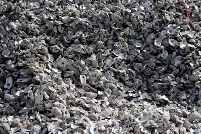 A mountain of oyster shells outside Barber's Seafood in Eastpoint, Florida. 