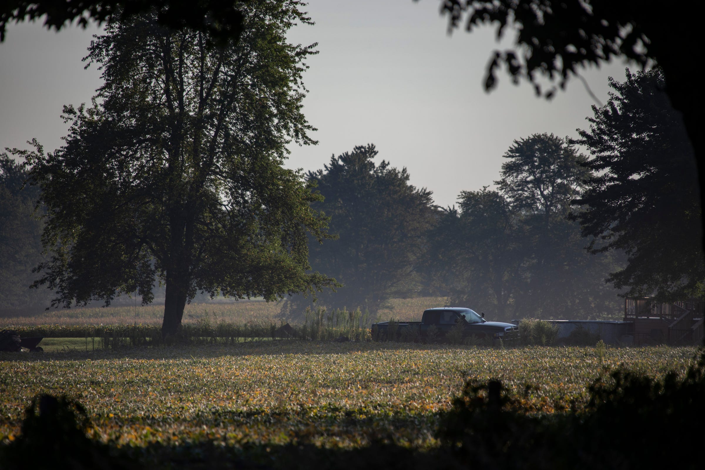 A rural scene from Imlay Township Thursday, Sept. 19, 2019.