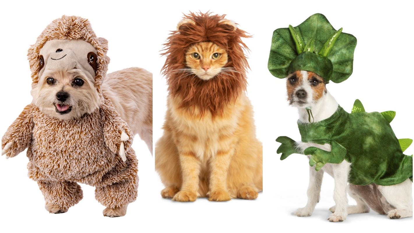 Dog And Cat Halloween Costumes Most Popular For 2019