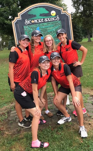 Nancy Noble's Ashland Arrows celebrate their fifth straight Division I sectional golf title Wednesday
