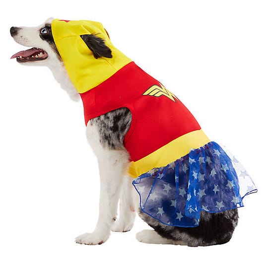 Dog And Cat Halloween Costumes Most Popular For 2019