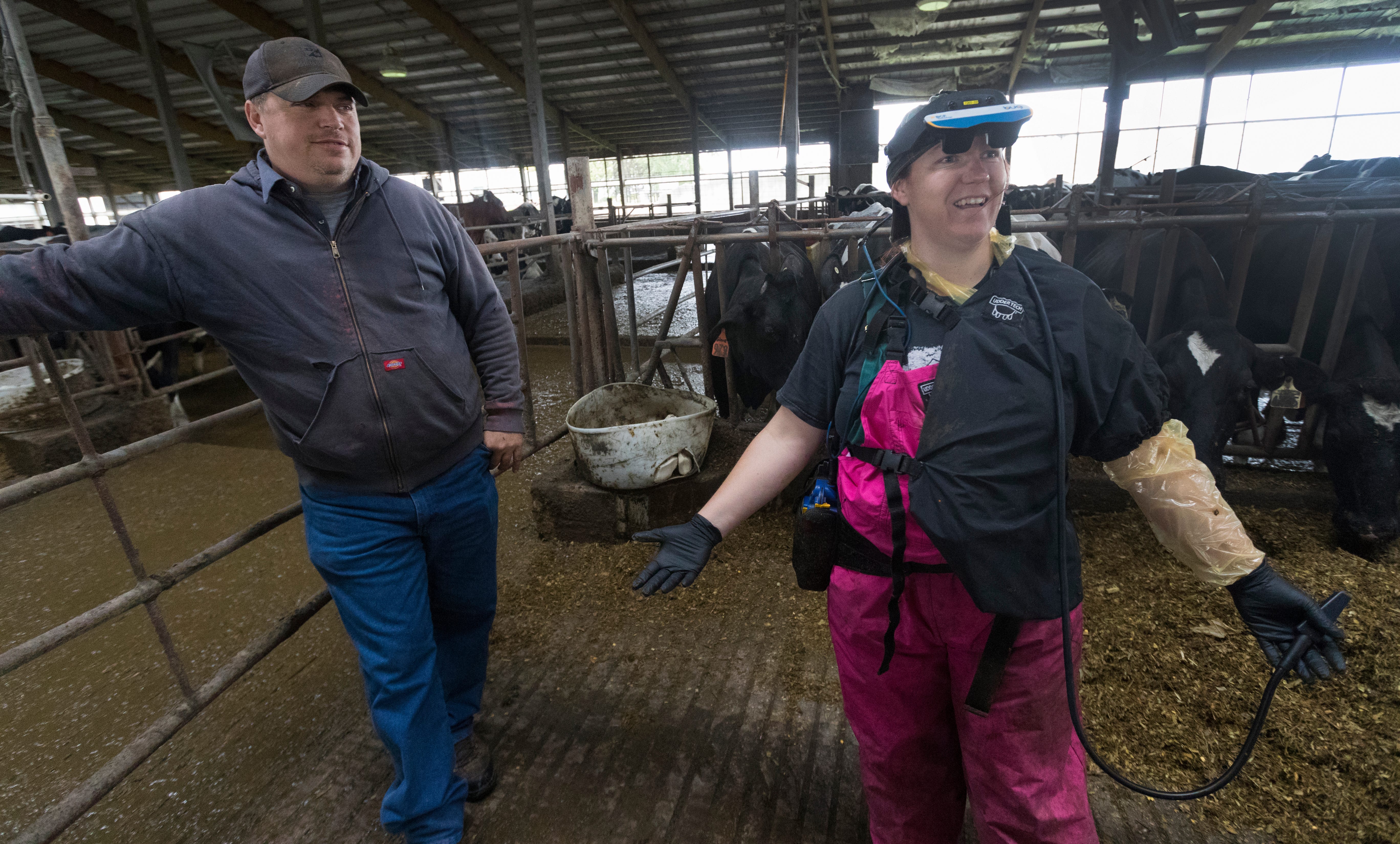 Veterinarian Lindley Reilly, right, and Quonset Farms owner Ben Hesselink talk before she starts fertility checks on about 80 cows at the farm in Oostburg. Reilly is wearing a viewer for an ultrasound device.