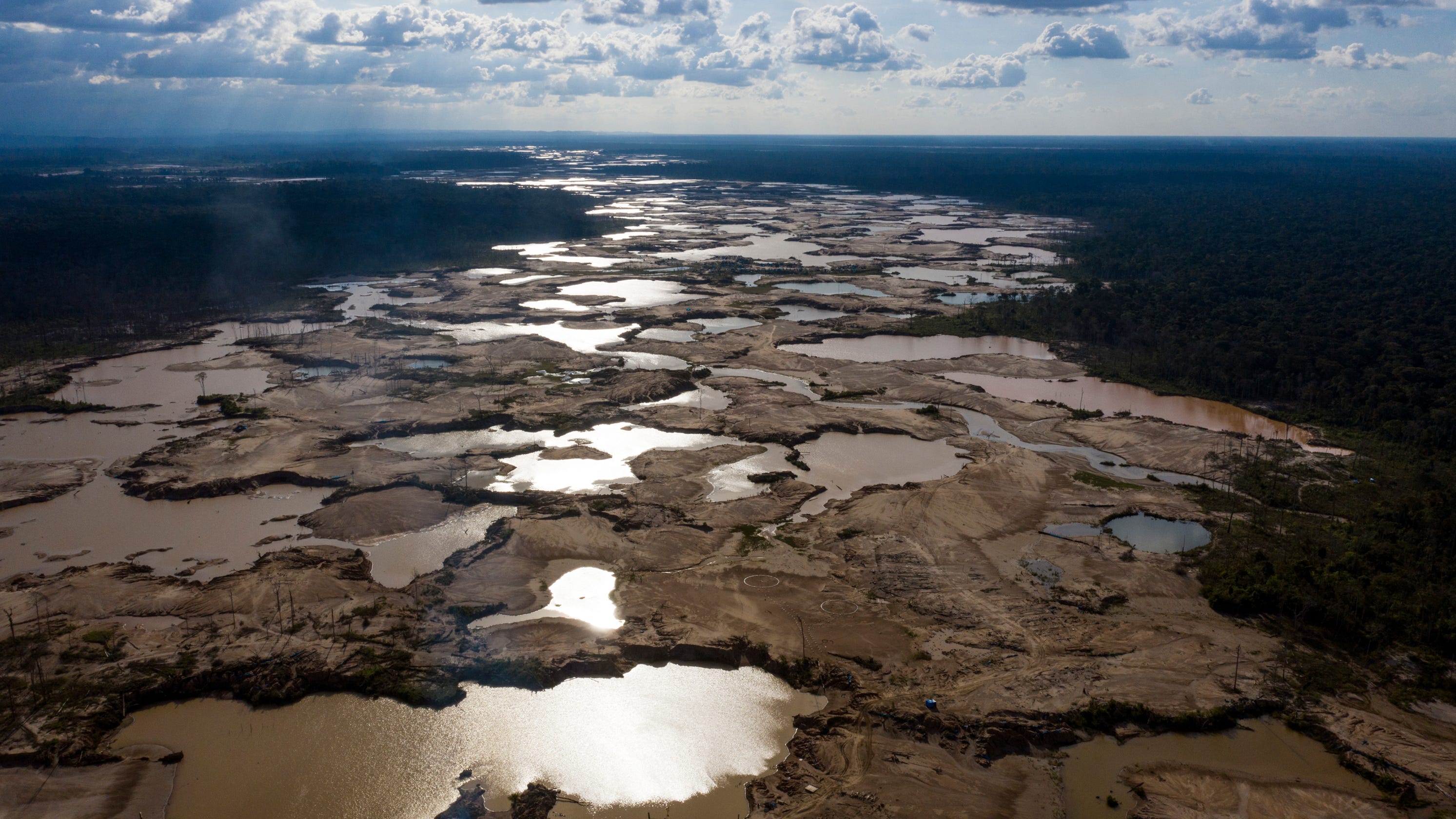Climate change effects: Peruvian Amazon forest restoration underway - USA TODAY