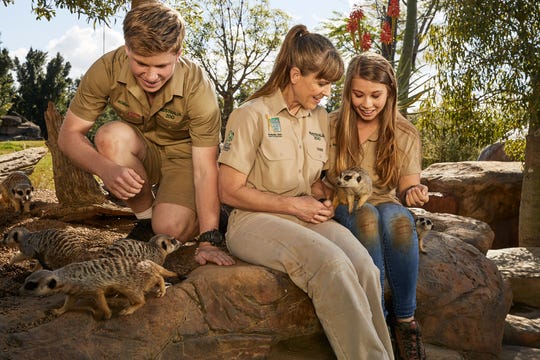Bindi Irwin, Terri Irwin and Robert Irwin with meerkats.