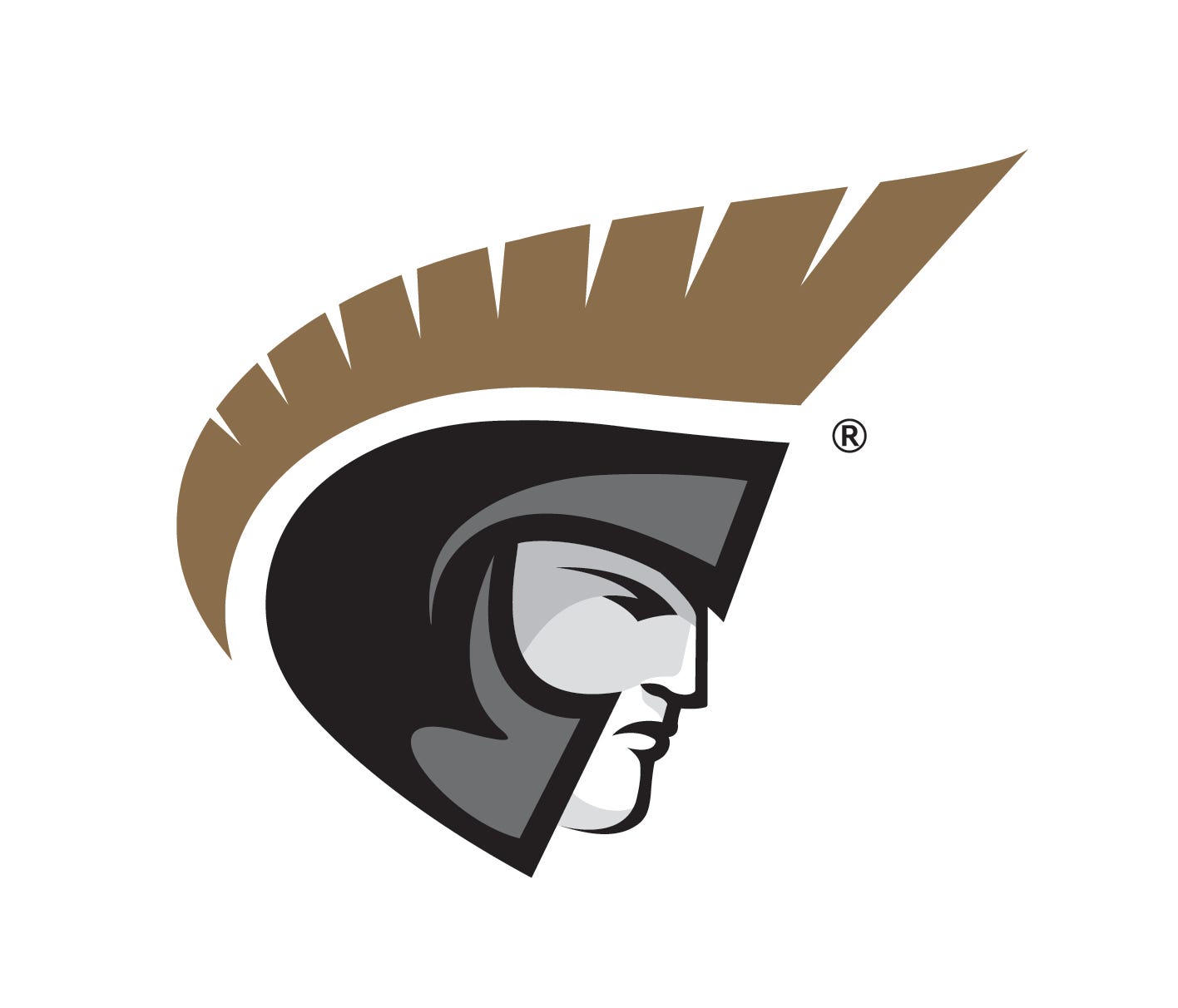 Anderson University announces football program to start in 2024