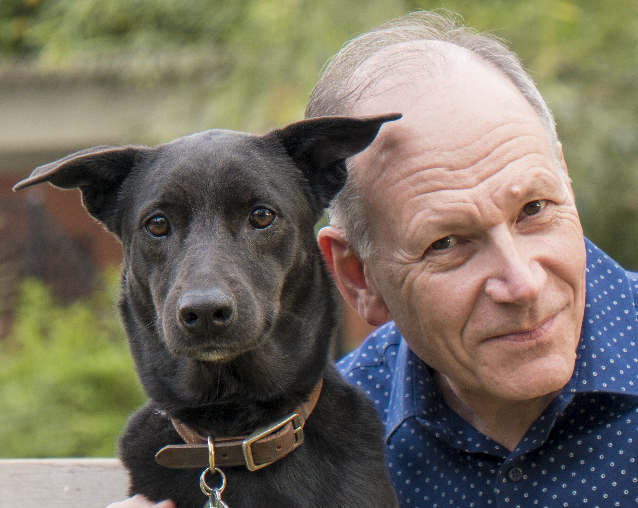 Dogs Want Treats But Researcher Says They Love You More