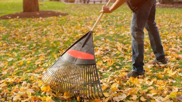With fall season here, raking leaves from you yard