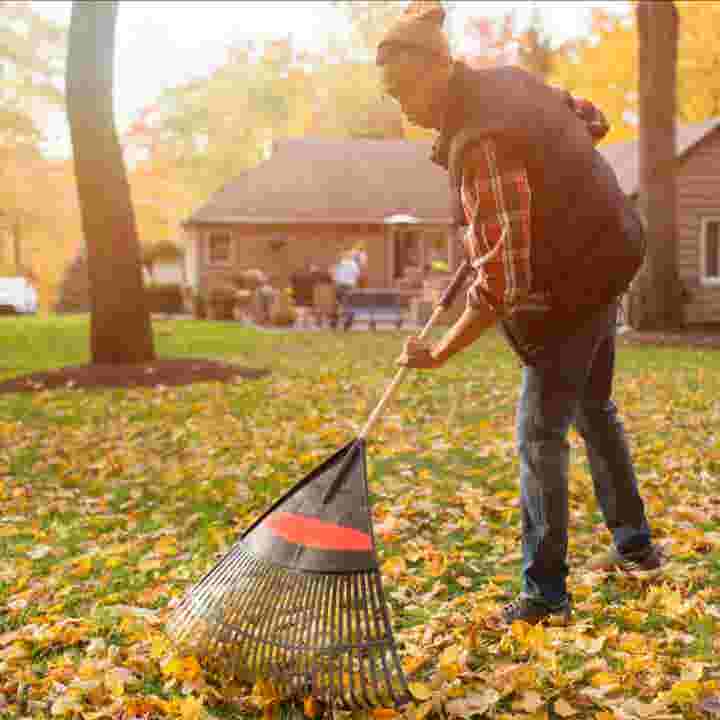 Raking leaves again this fall? Stop right now