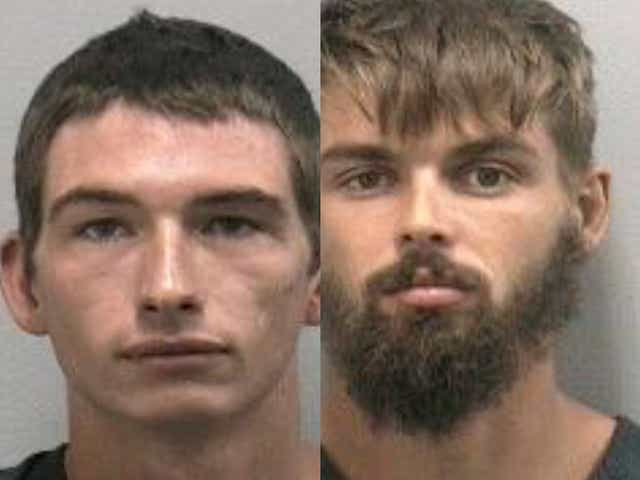 Florida Man Charged With Forcing Captured Alligator To Drink Beer