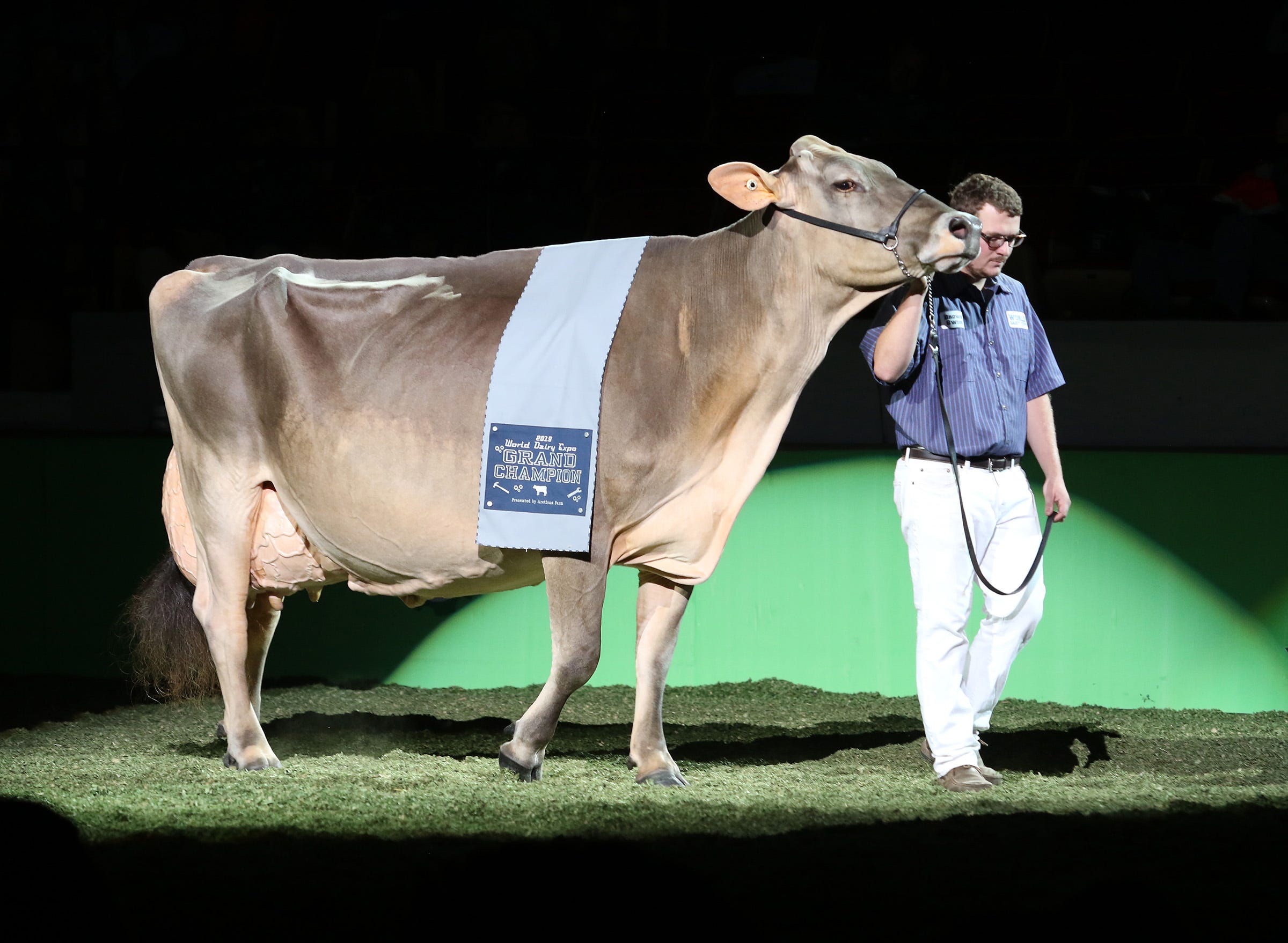 world dairy expo madison wisconsin world dairy expo madison wisconsin