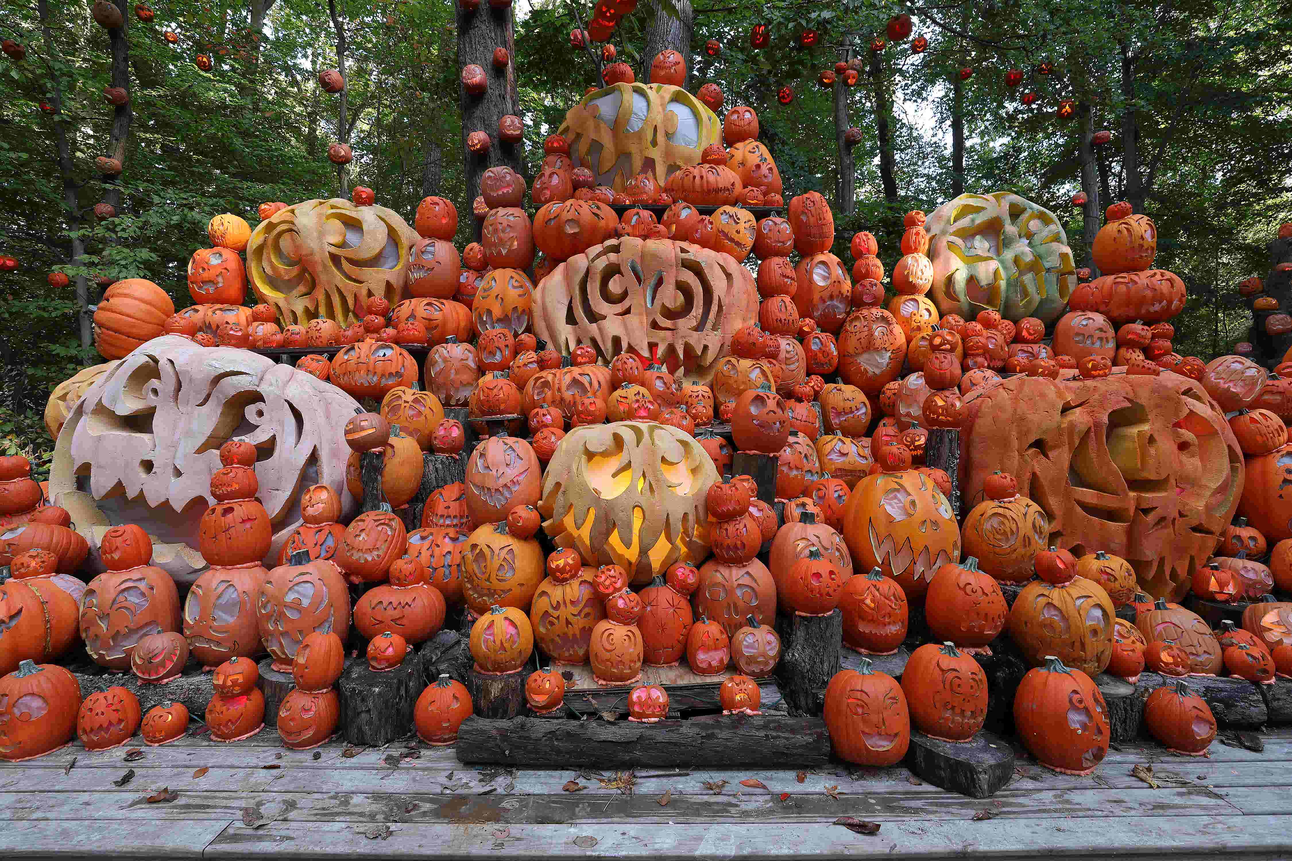 Jack O' Lantern Spectacular 2019 Iroquois Park hosts annual event