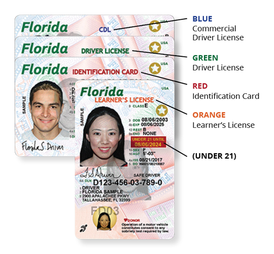 REAL ID driver’s license required to travel within U.S. in 2020