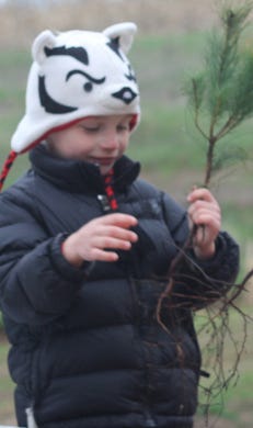 Fourth-graders in Wisconsin can receive free trees to plant from the DNR.