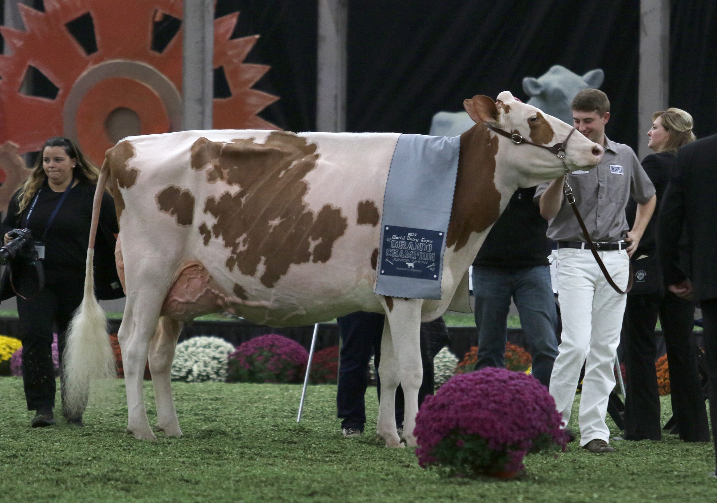 World Dairy Expo 2019 by the numbers