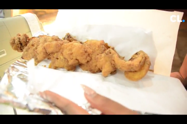 Fair Food Festival Opens At Mississippi State Fairgrounds