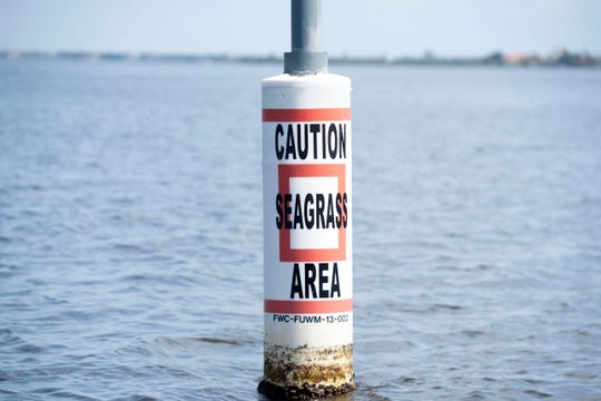 A group of 24 tethered buoys, encircling 440 acres of the Indian River Lagoon off the Oslo Road boat ramp and the Moorings Flats in Indian River County, warns boaters to keep off shallow seagrass beds. The protected area, funded by a project called the Rotary Initiative for Submerged Seagrass Awareness, has helped this section of the lagoon grow some of the healthiest seagrass around. 