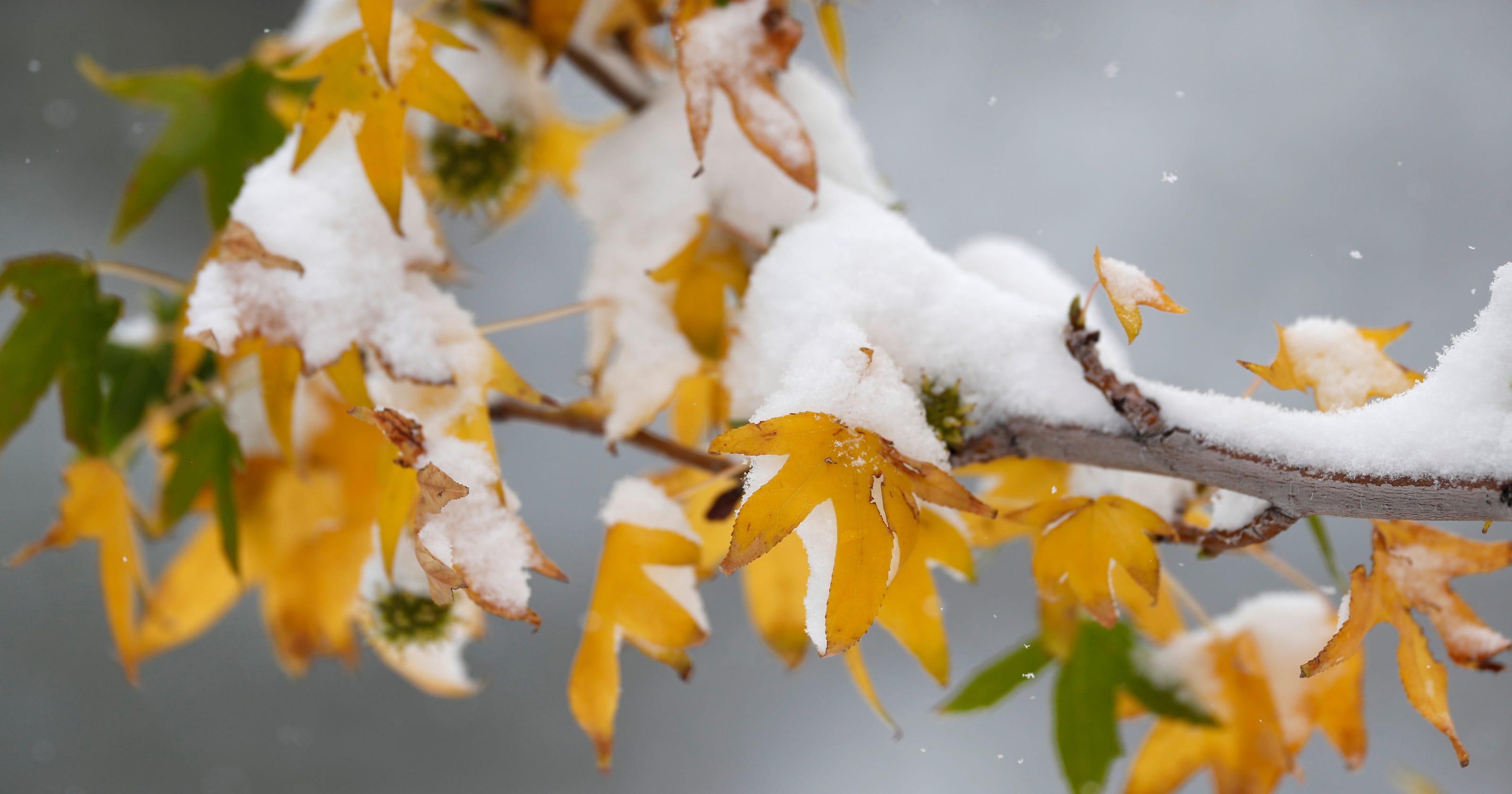 Texas weather Amarillo hit with rare October thunder snow