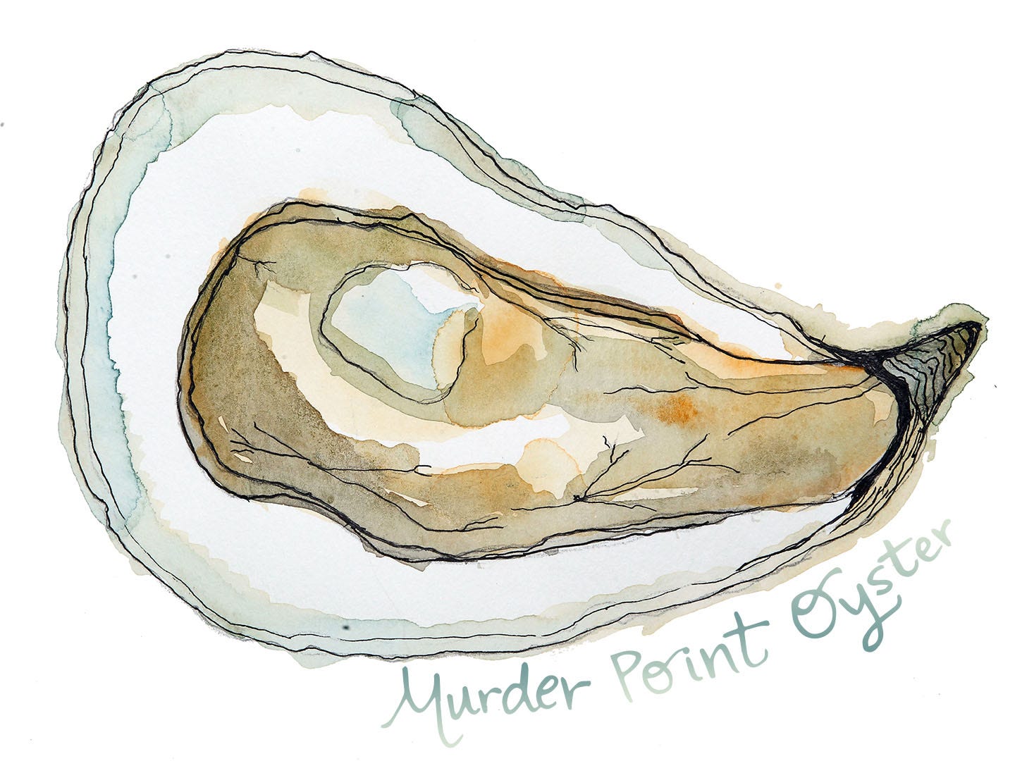 Murder Point oyster