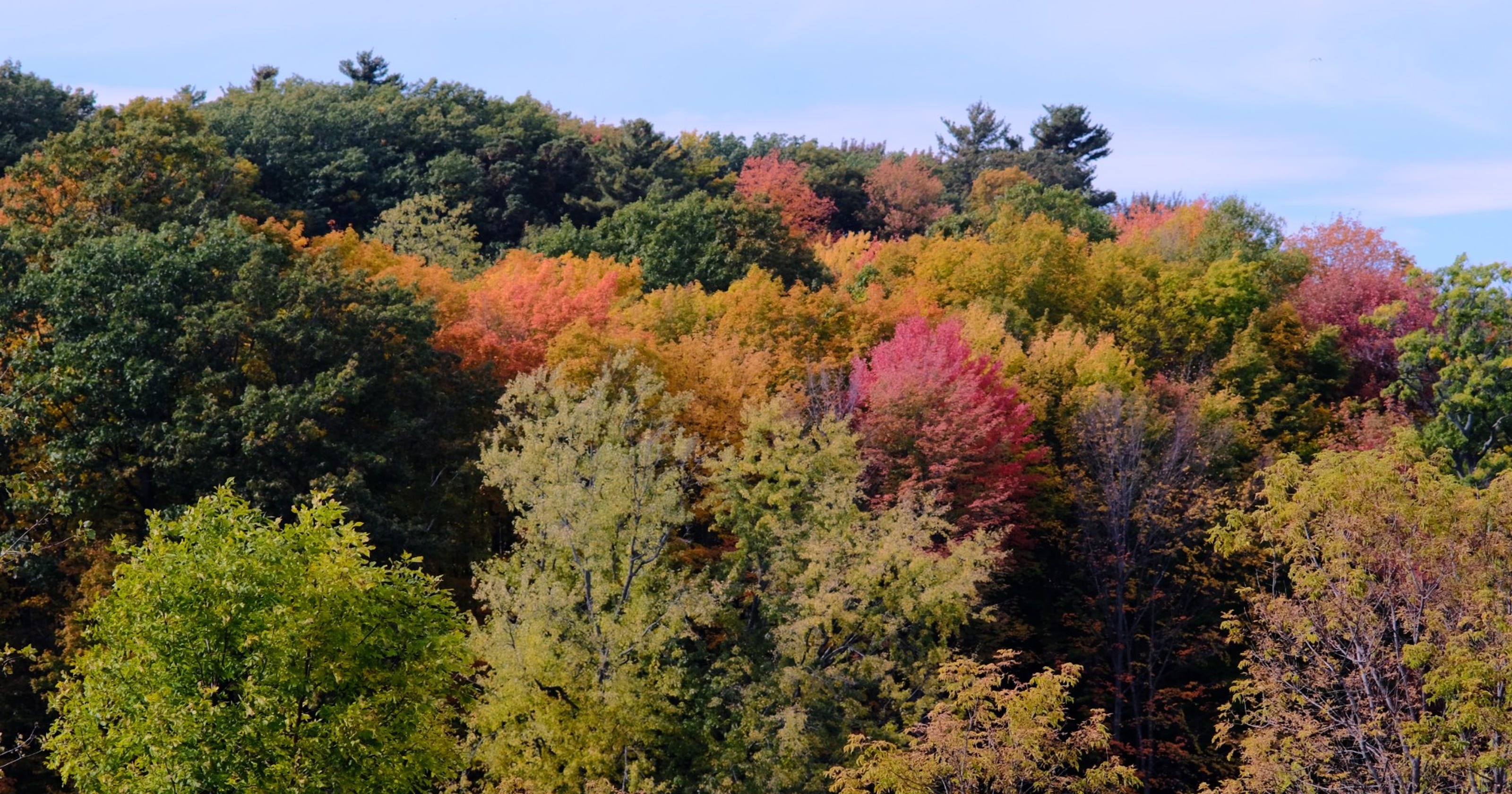 Vermont foliage at peak captured through social media posts