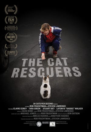 "The Cat Rescuers"