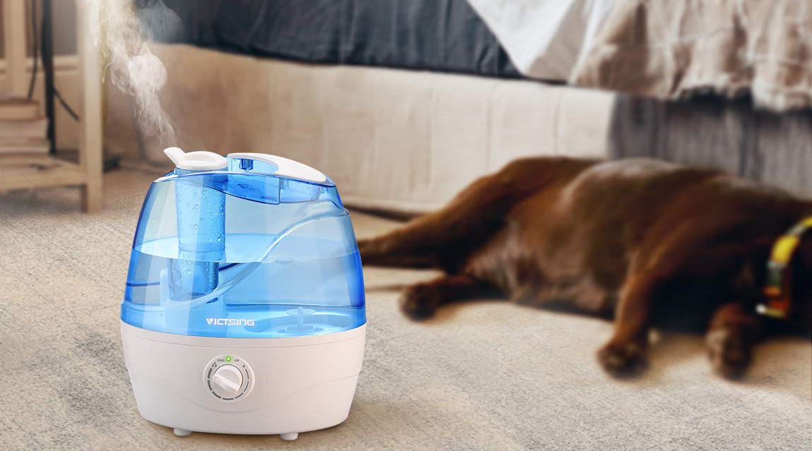 Best Humidifier