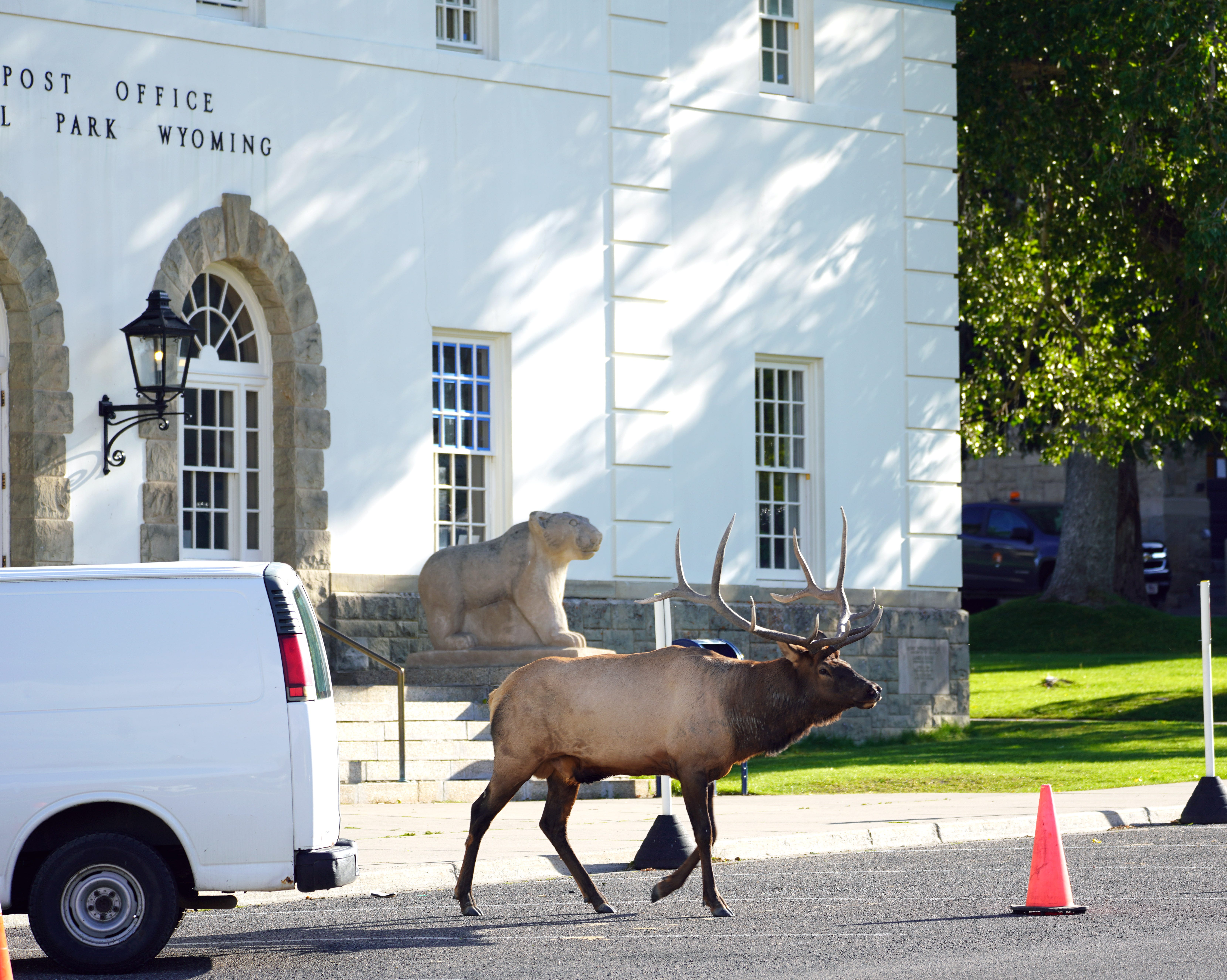 National parks Federal judge oversees wild court at Yellowstone