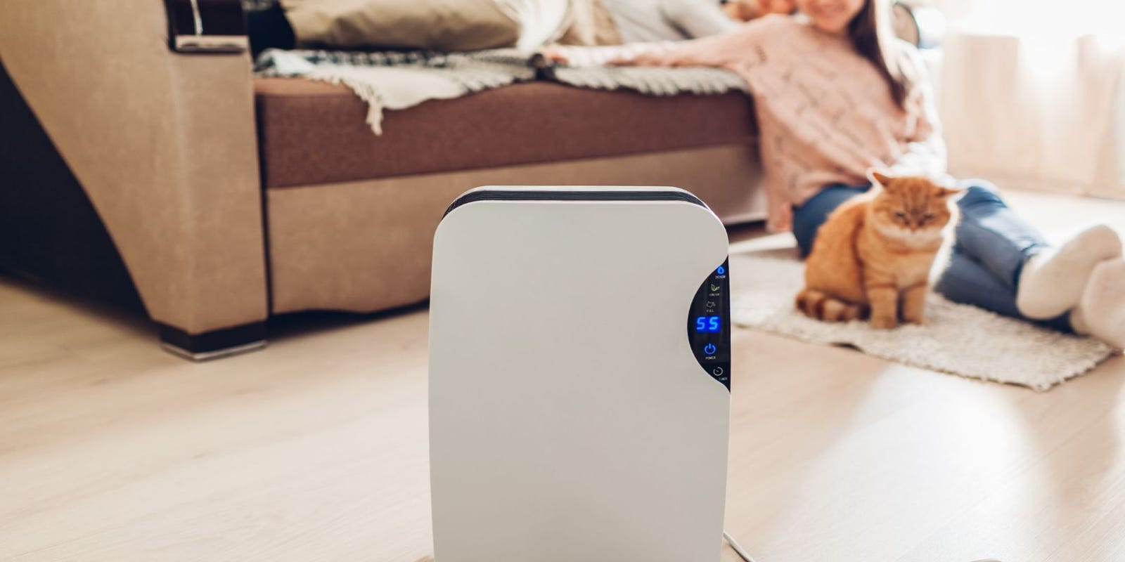 The best air purifiers of 2019