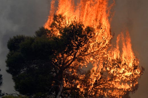 A tree burns in Mechref south Beirut, Lebanon on October 15, 2019. 