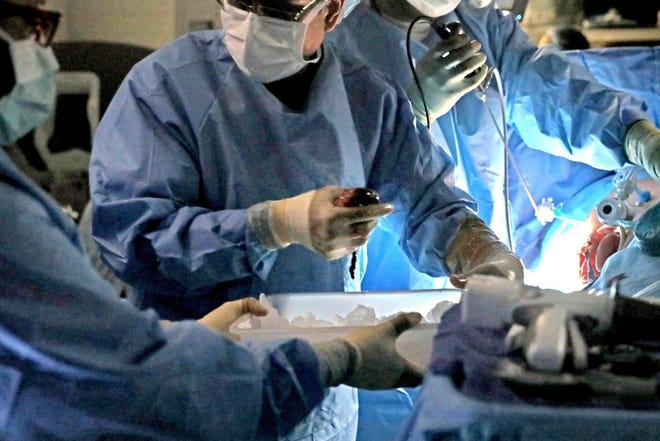 Kidney transplant surgery.