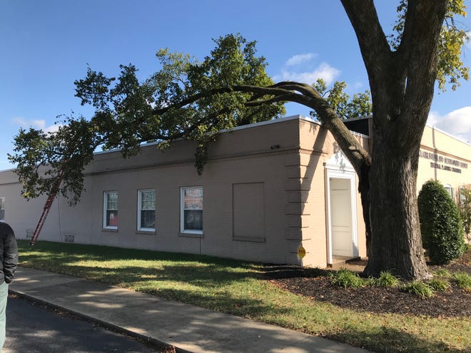 A large tree on Main Street split during a storm Tuesday night, Oct. 15, 2019, and part of it landed on the Clarksville-Montgomery County Regional Planning Commission building.