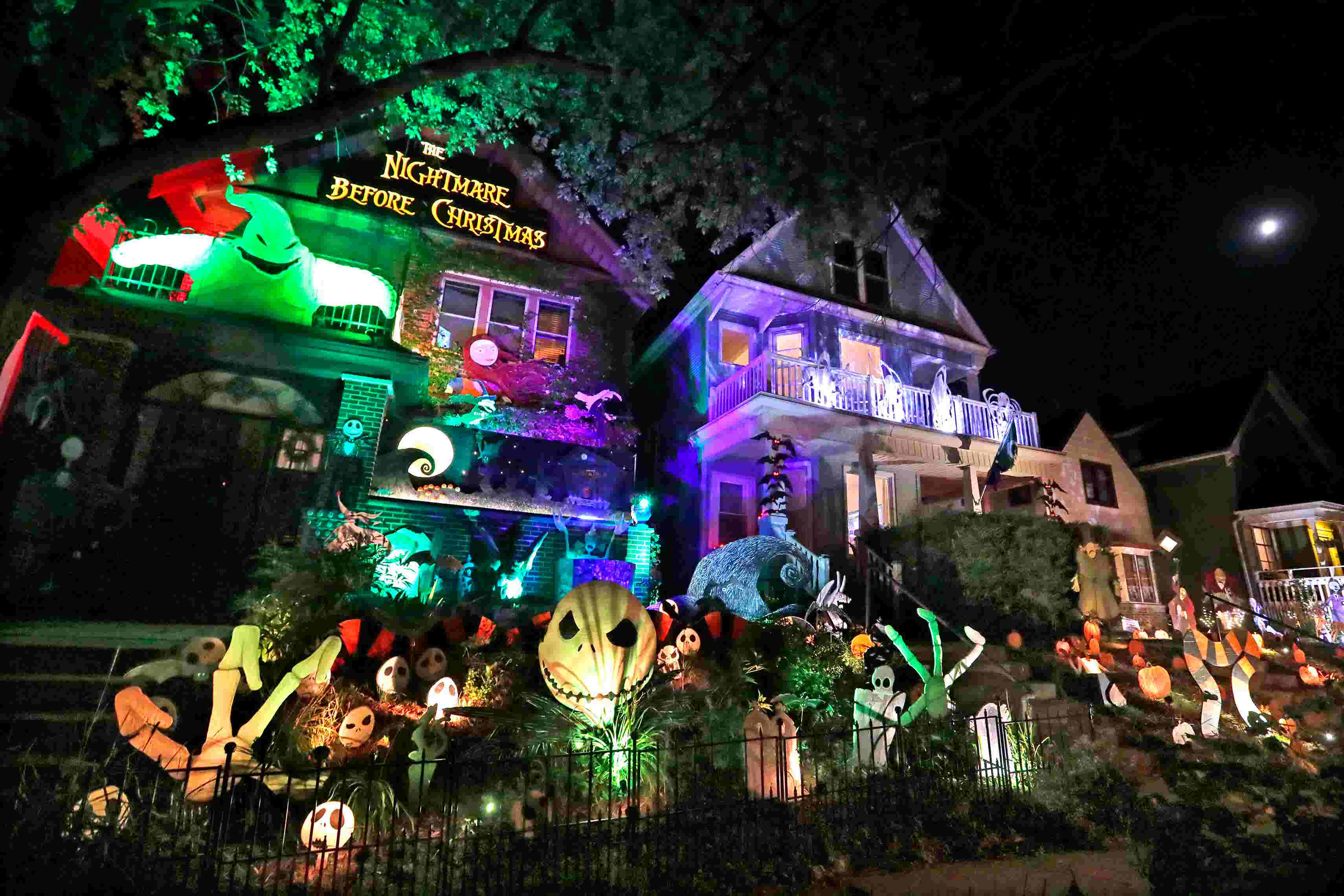 Halloween Events Bay Area 2024 Pammy Batsheva