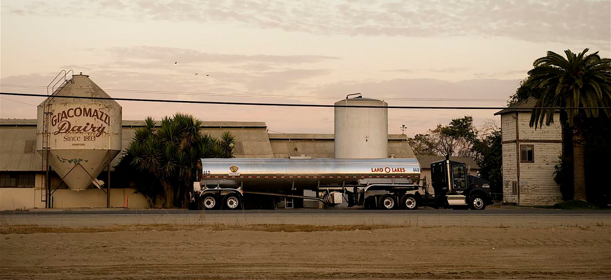 California's oldest dairy set to disperse