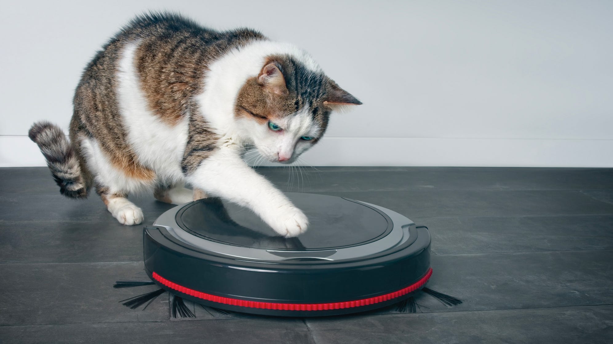 The best robot vacuums for pet hair of 2020